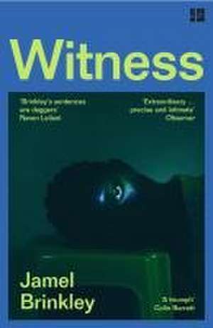 Witness de Jamel Brinkley