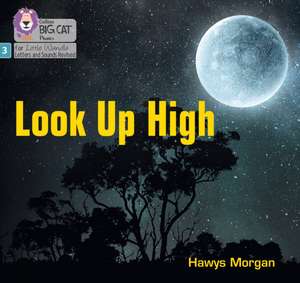 Look Up High de Hawys Morgan