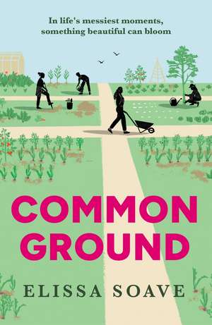 Common Ground de Elissa Soave