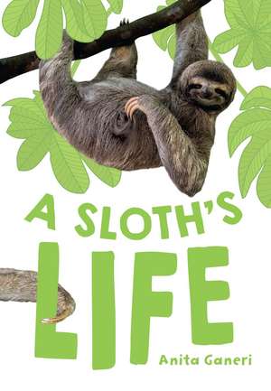 A Sloth's Life de Anita Ganeri