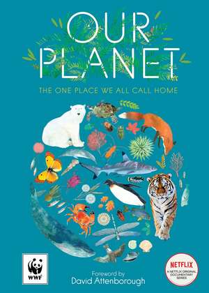 Our Planet de Matt Whyman