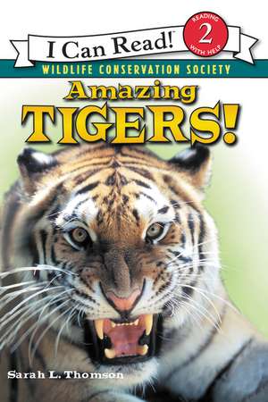 Amazing Tigers! de Sarah L. Thomson