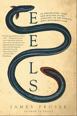 Eels: An Exploration, from New Zealand to the Sargasso, of the World's Most Mysterious Fish de James Prosek