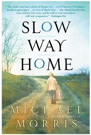 Slow Way Home de Michael Morris