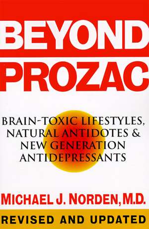 Beyond Prozac: Antidotes for Modern Times de Michael J. Norden