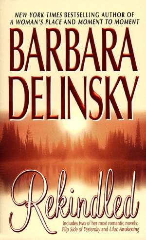 Rekindled de Barbara Delinsky