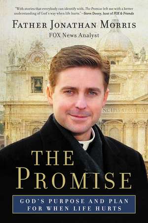 The Promise: God's Purpose and Plan for When Life Hurts de Father Jonathan Morris