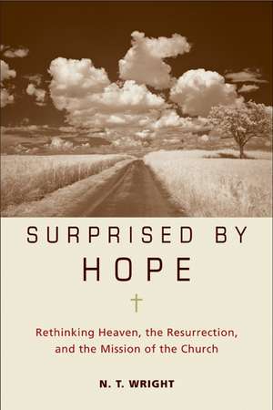 Surprised by Hope: Rethinking Heaven, the Resurrection, and the Mission of the Church de N. T. Wright