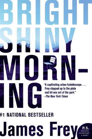 Bright Shiny Morning de James Frey