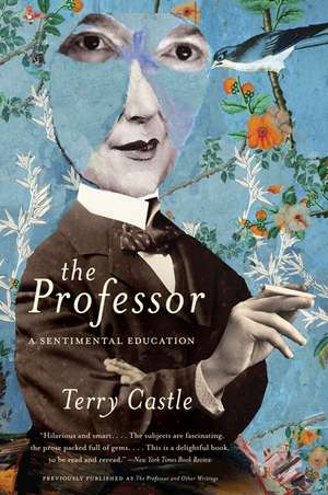 The Professor: A Sentimental Education de Terry Castle