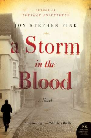 A Storm in the Blood: A Novel de Jon Stephen Fink