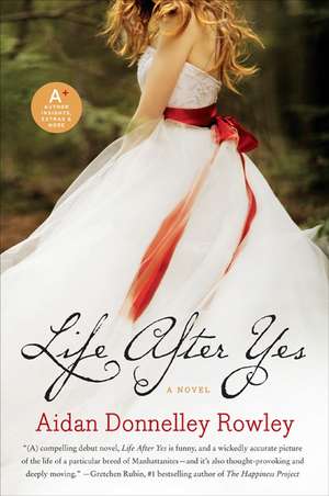 Life After Yes: A Novel de Aidan Donnelley Rowley