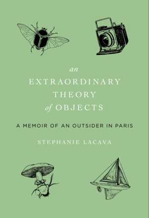 An Extraordinary Theory of Objects: A Memoir of an Outsider in Paris de Stephanie LaCava