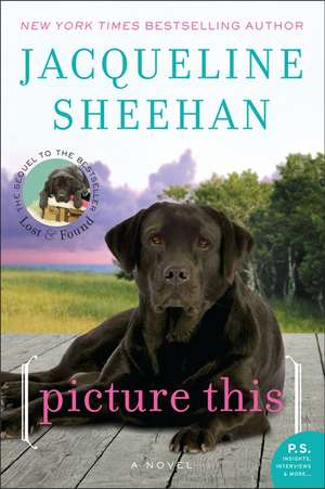 Picture This: A Novel de Jacqueline Sheehan