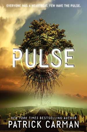 Pulse de Patrick Carman