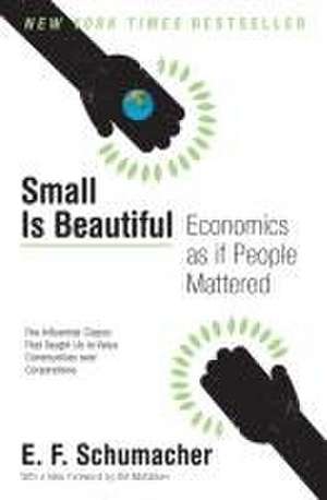 Small Is Beautiful de E F Schumacher