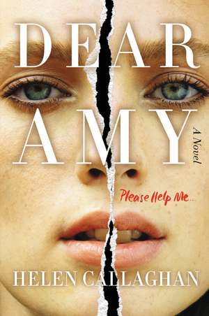 Dear Amy: A Novel de Helen Callaghan
