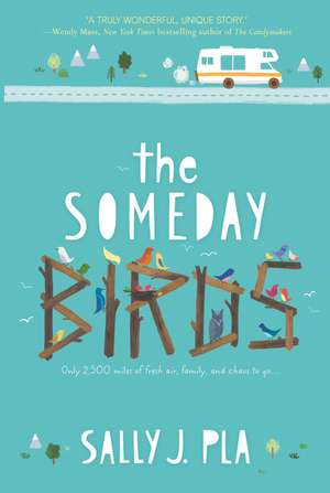 The Someday Birds de Sally J. Pla