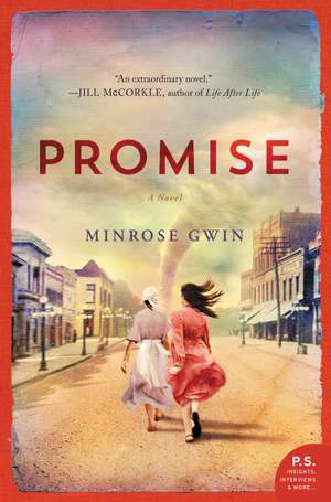 Promise: A Novel de Minrose Gwin