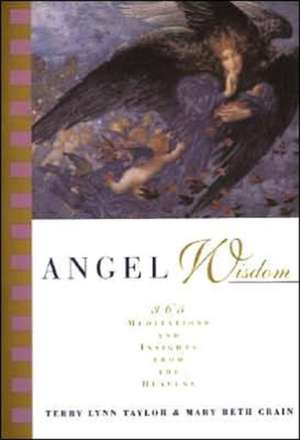 Angel Wisdom: 365 Meditations and Insights from the Heavens de Terry Lynn Taylor