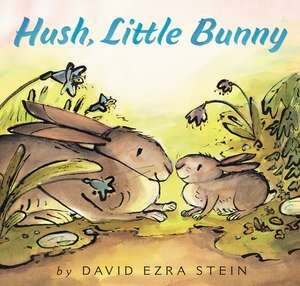 Hush, Little Bunny de David Ezra Stein