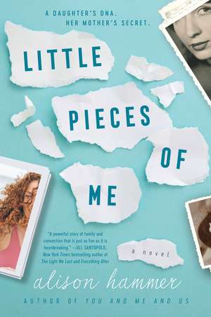 Little Pieces of Me: A Novel de Alison Hammer