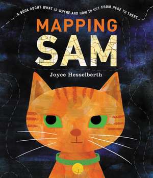 Mapping Sam de Joyce Hesselberth