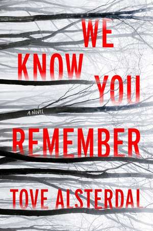 We Know You Remember: A Novel de Tove Alsterdal