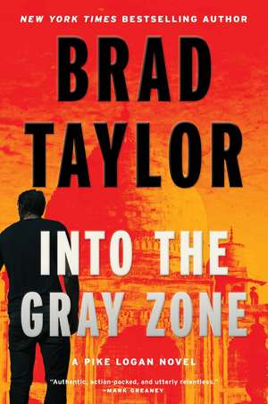Into the Gray Zone de Brad Taylor