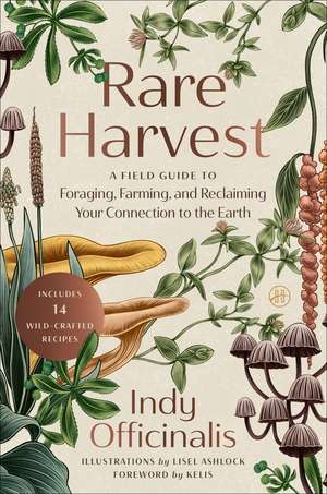 Rare Harvest de Indy Officinalis