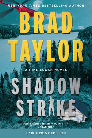 Shadow Strike de Brad Taylor