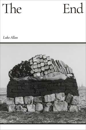The End de Luke Allan