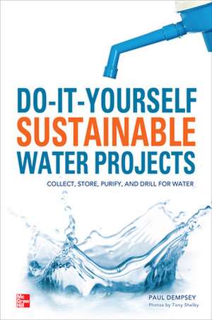 Do-It-Yourself Sustainable Water Projects de Paul Dempsey