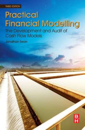 Practical Financial Modelling: The Development and Audit of Cash Flow Models de Jonathan Swan