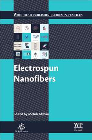 Electrospun Nanofibers de Mehdi Afshari