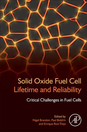 Solid Oxide Fuel Cell Lifetime and Reliability: Critical Challenges in Fuel Cells de Nigel Brandon