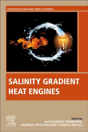 Salinity Gradient Heat Engines de Alessandro Tamburini