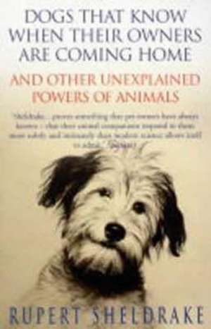 Dogs That Know When Their Owners Are Coming Home de Rupert Sheldrake