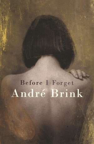 Brink, A: Before I Forget de Andre Brink