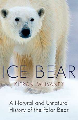 Ice Bear de Kieran Mulvaney