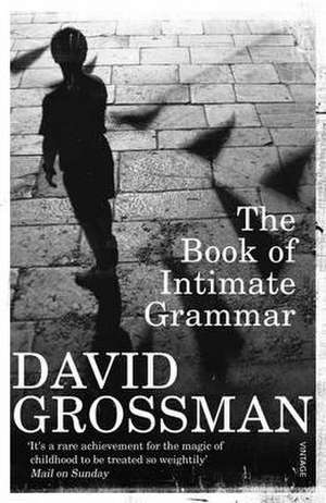 The Book Of Intimate Grammar de David Grossman