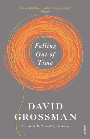 Falling Out of Time de David Grossman