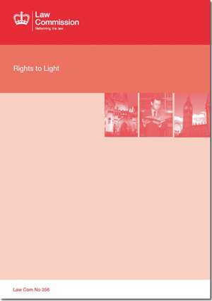 Rights to Light de The Stationery Office