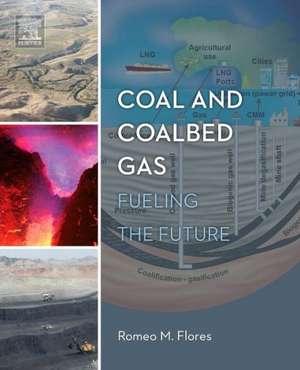 Coal and Coalbed Gas: Fueling the Future de Romeo M. Flores