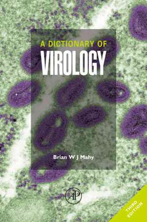 A Dictionary of Virology de Bozzano G Luisa