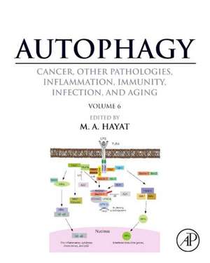 Autophagy: Cancer, Other Pathologies, Inflammation, Immunity, Infection, and Aging: Volume 6- Regulation of Autophagy and Selective Autophagy de M. A. Hayat