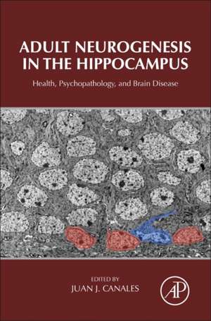 Adult Neurogenesis in the Hippocampus: Health, Psychopathology, and Brain Disease de Juan J. Canales