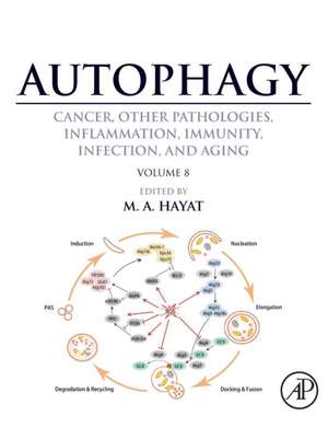 Autophagy: Cancer, Other Pathologies, Inflammation, Immunity, Infection, and Aging: Volume 8- Human Diseases de M. A. Hayat