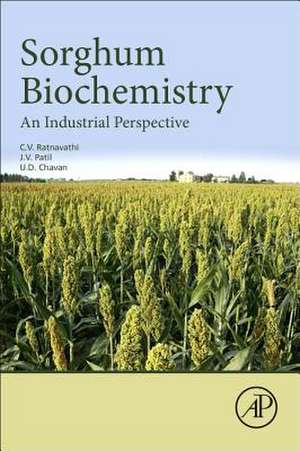 Sorghum Biochemistry: An Industrial Perspective de CV Ratnavathi