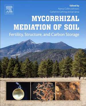 Mycorrhizal Mediation of Soil: Fertility, Structure, and Carbon Storage de Nancy Collins Johnson